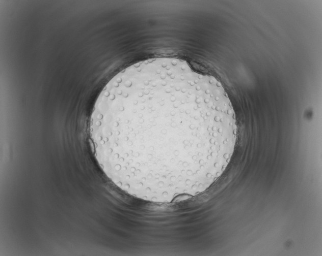 X0000116290093201001111105