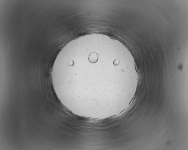 X0000116290094201001111105