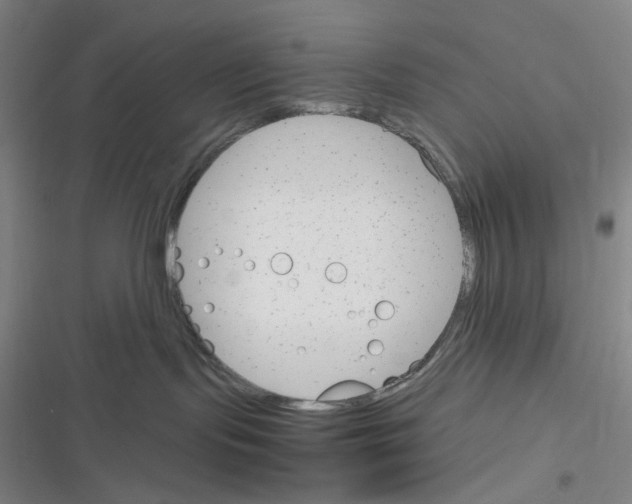 X0000116290095201001111105