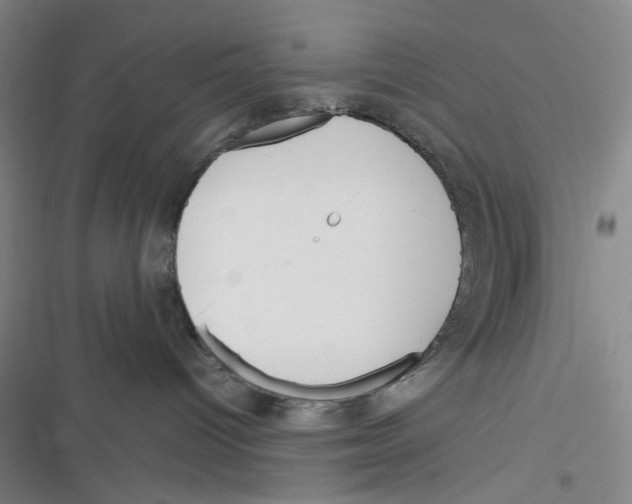 X0000116290096201001111105