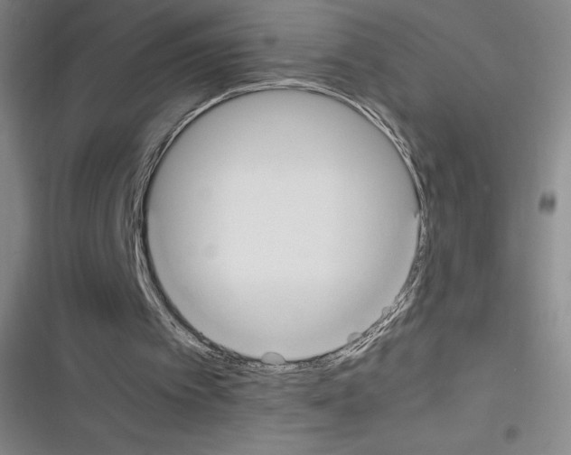 X0000116290097201001111105