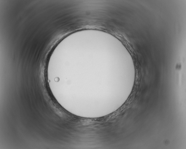 X0000116290098201001111105