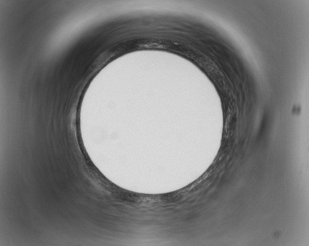 X0000116290099201001111105