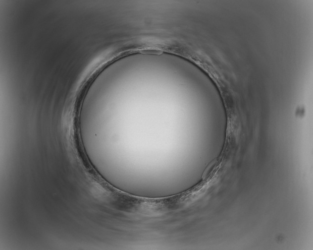 X0000116290101201001111105