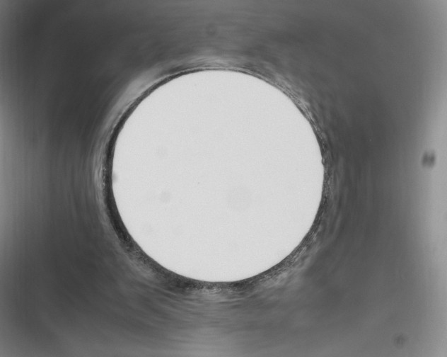 X0000116290103201001111105