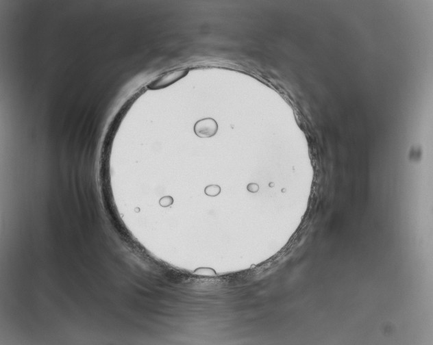 X0000116290104201001111105