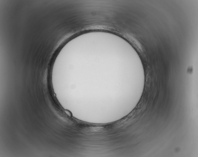 X0000116290108201001111105