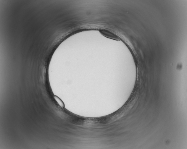 X0000116290109201001111105