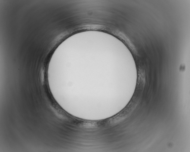 X0000116290110201001111105