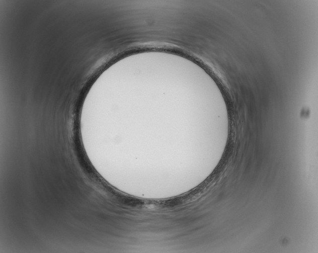 X0000116290111201001111105