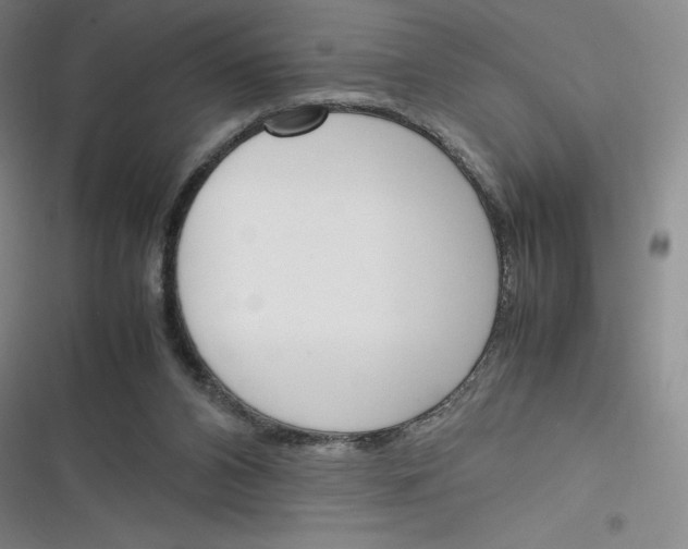 X0000116290112201001111105