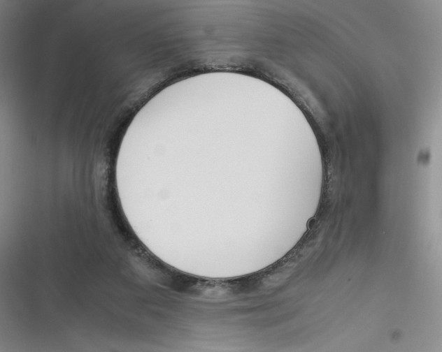 X0000116290113201001111105