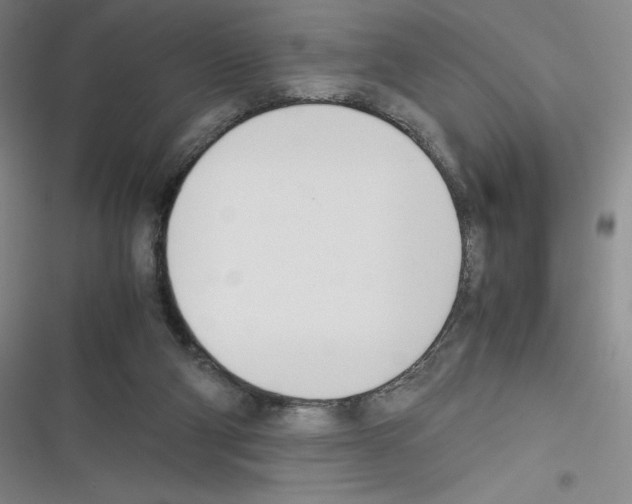 X0000116290114201001111105