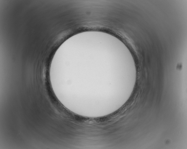 X0000116290115201001111105