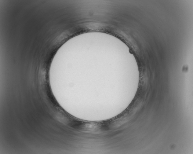 X0000116290117201001111104