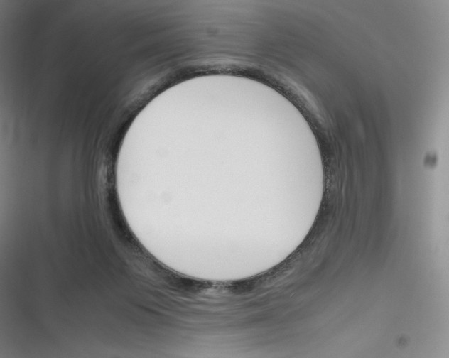 X0000116290119201001111104