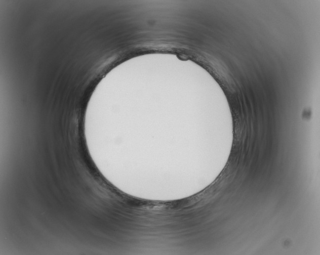 X0000116290120201001111104