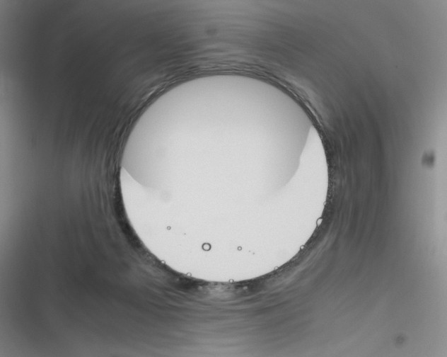 X0000116290121201001111104