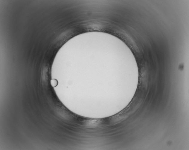 X0000116290122201001111104