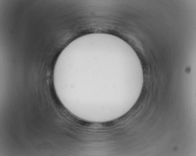 X0000116290123201001111104