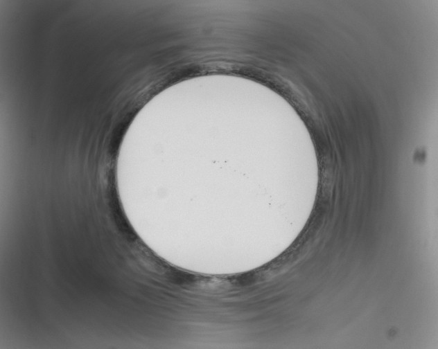 X0000116290125201001111104