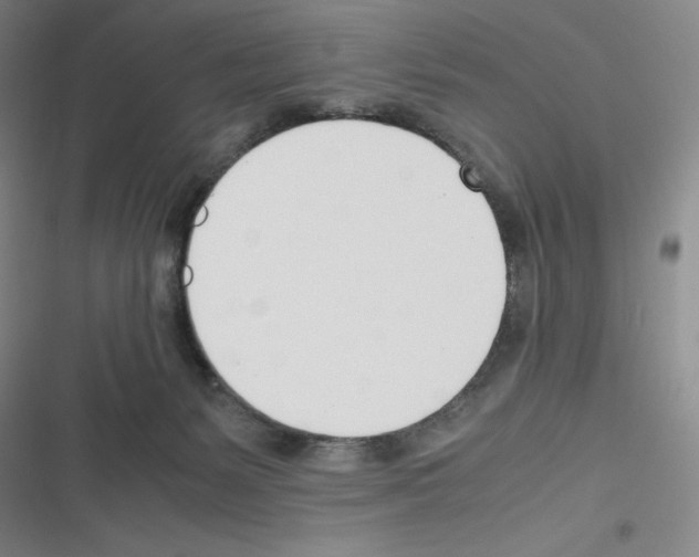 X0000116290127201001111104