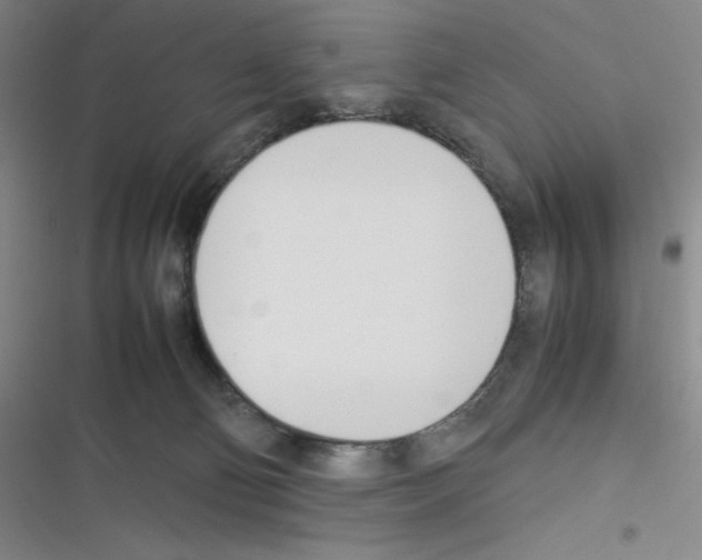 X0000116290130201001111104