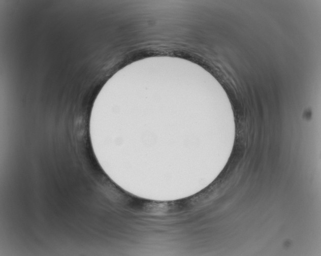 X0000116290131201001111104