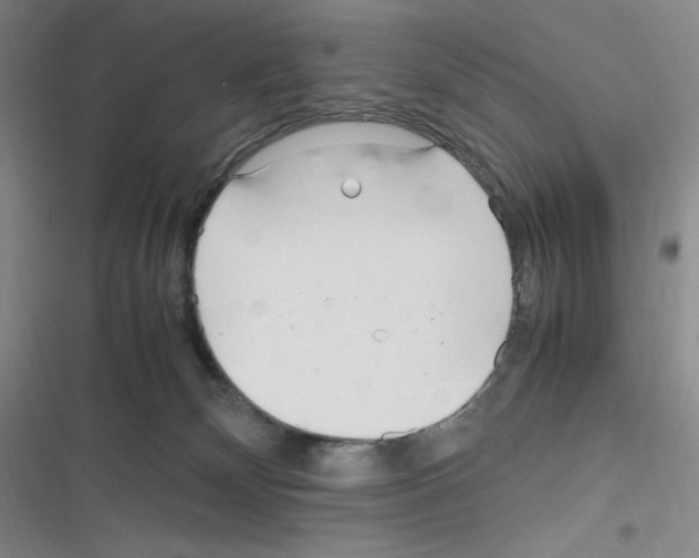 X0000116290132201001111104