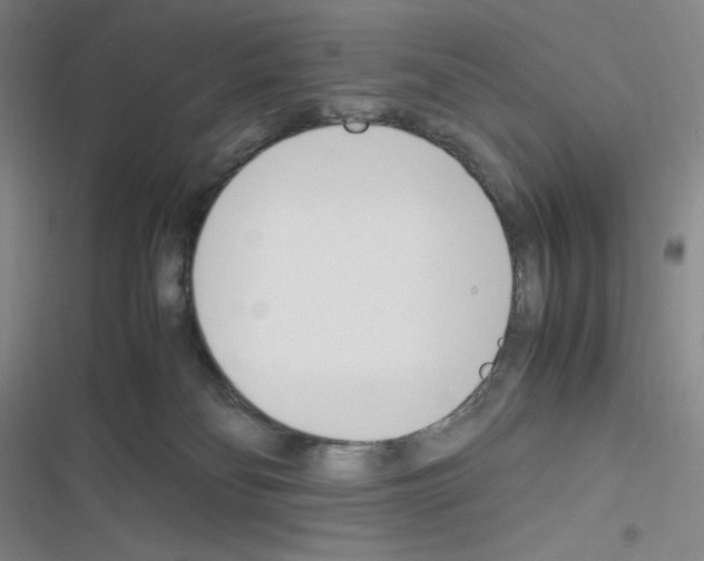 X0000116290134201001111104