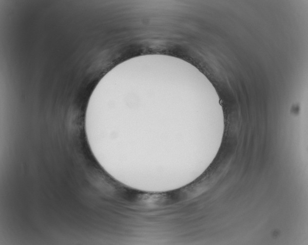 X0000116290135201001111104