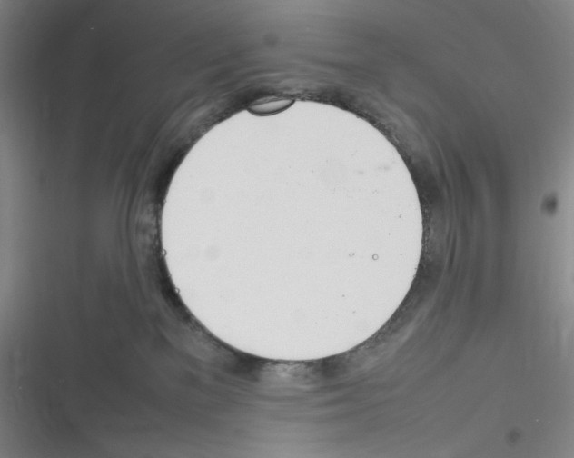 X0000116290137201001111104