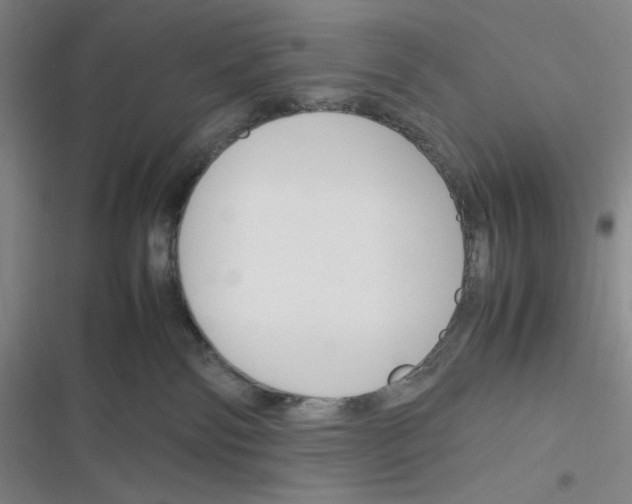 X0000116290138201001111104