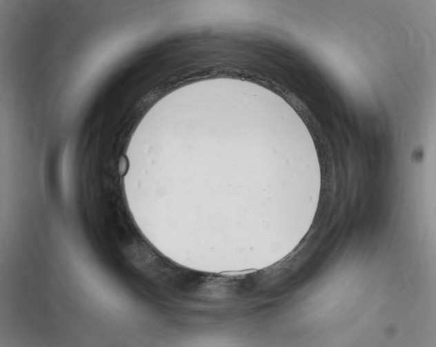 X0000116290140201001111104