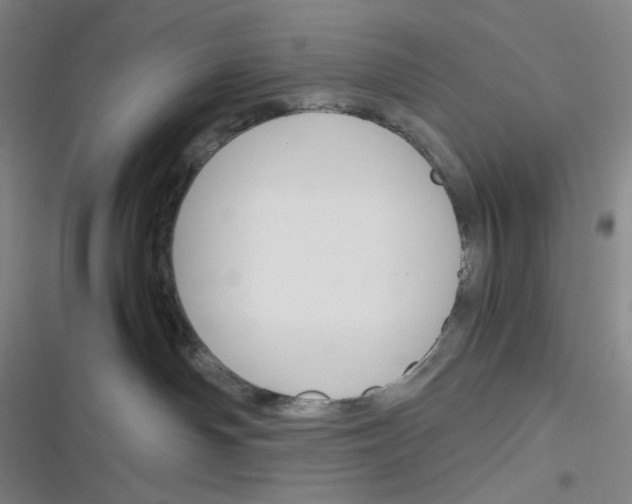 X0000116290142201001111104