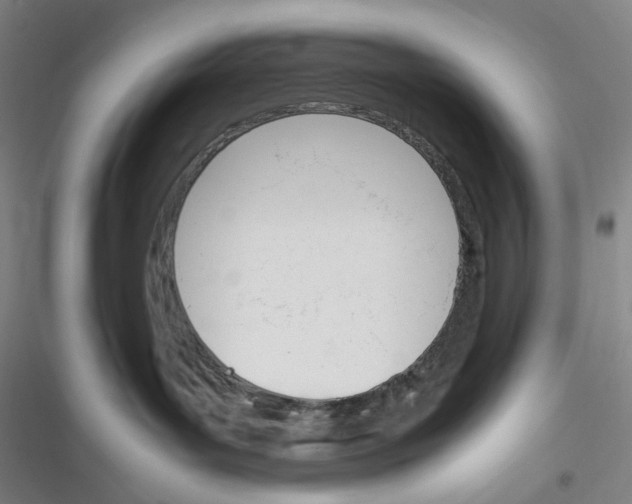 X0000116290143201001111104