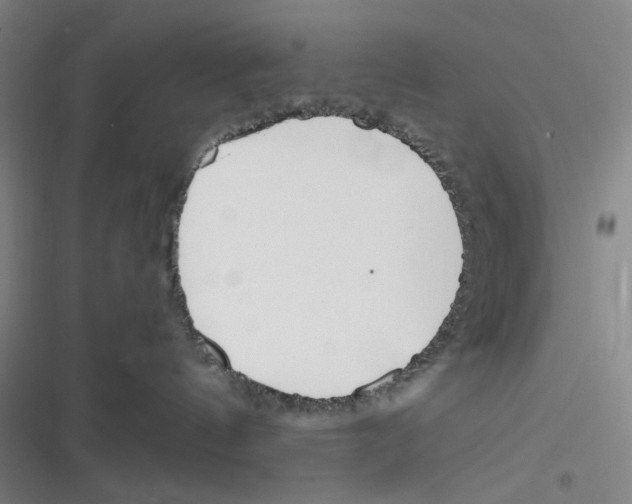 X0000116290144201001111104