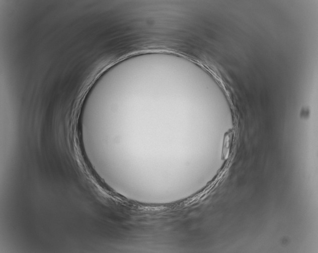 X0000116290145201001111103