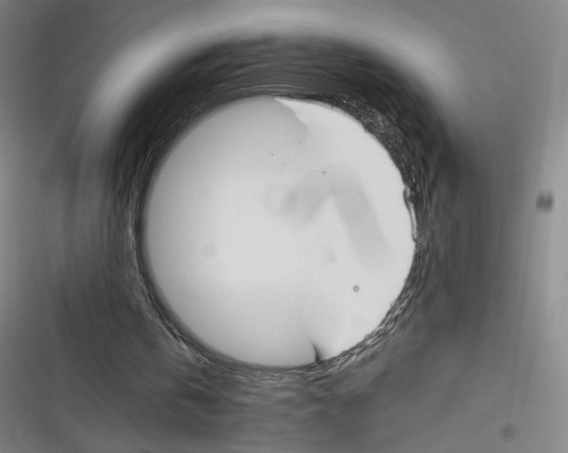 X0000116290146201001111103