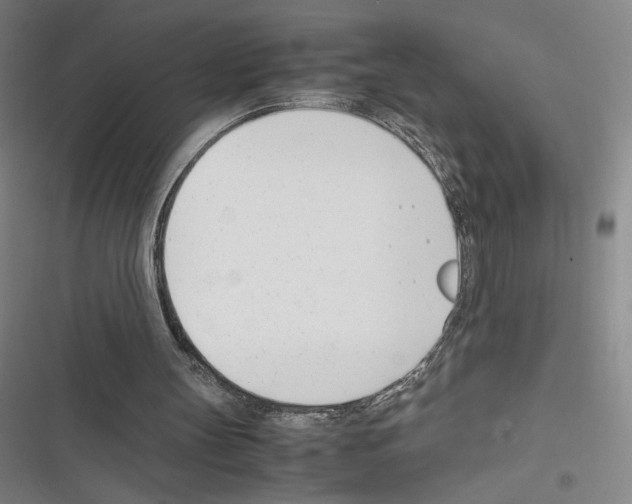 X0000116290147201001111104