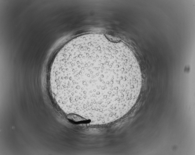 X0000116290149201001111104