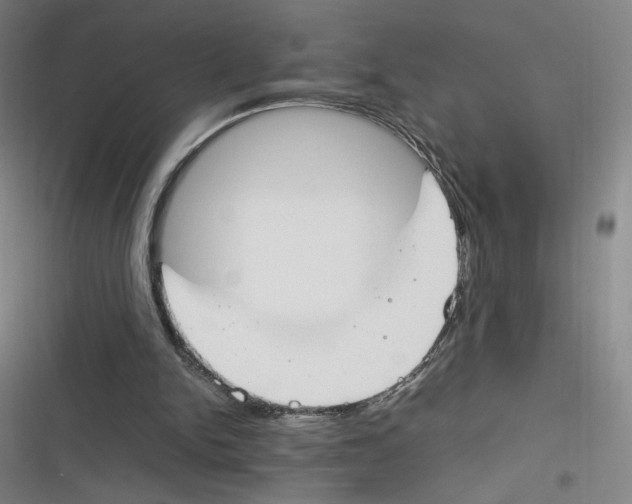 X0000116290150201001111104