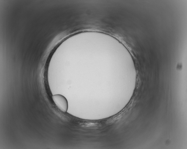 X0000116290151201001111104