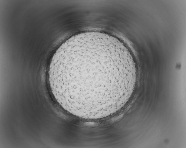 X0000116290153201001111104