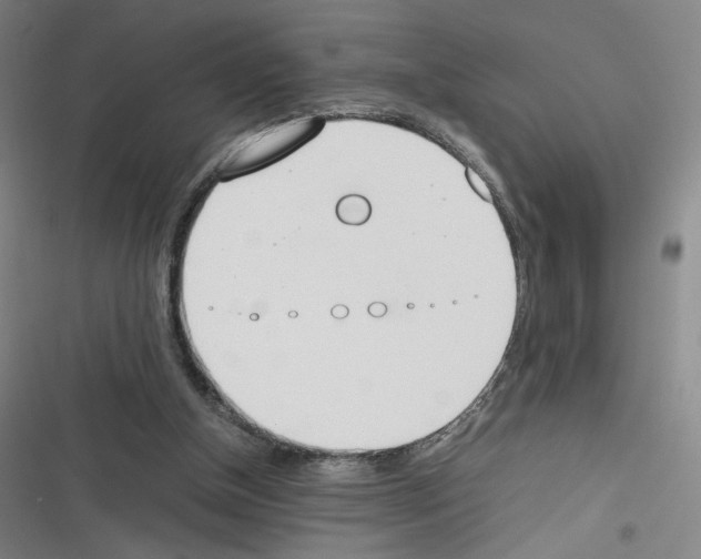 X0000116290154201001111104