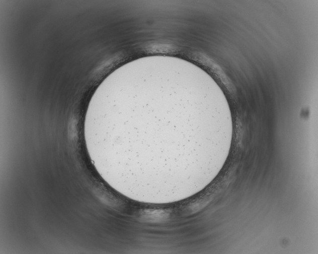 X0000116290161201001111104