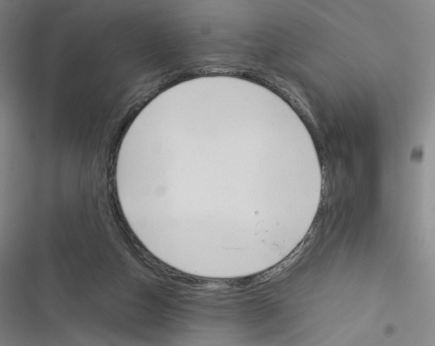 X0000116290162201001111104