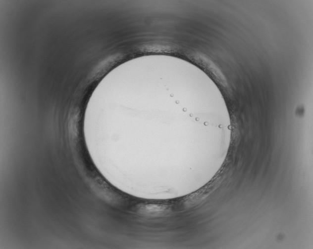 X0000116290163201001111104