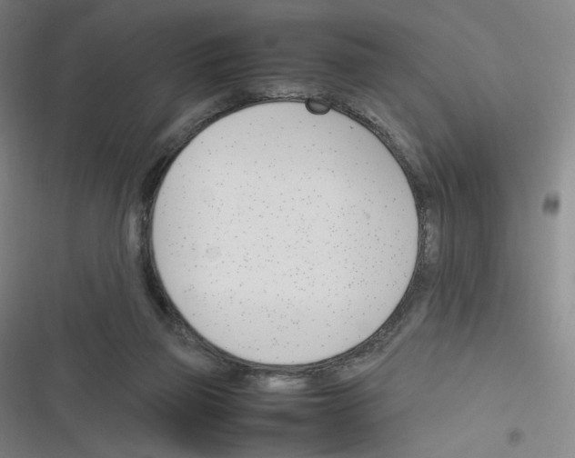 X0000116290165201001111104