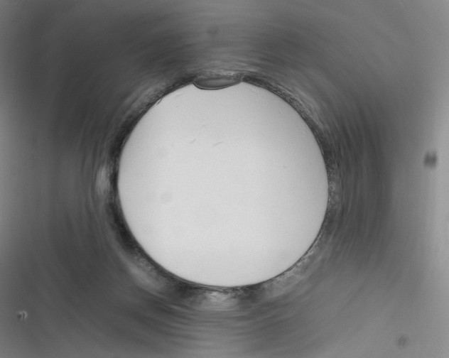 X0000116290166201001111104